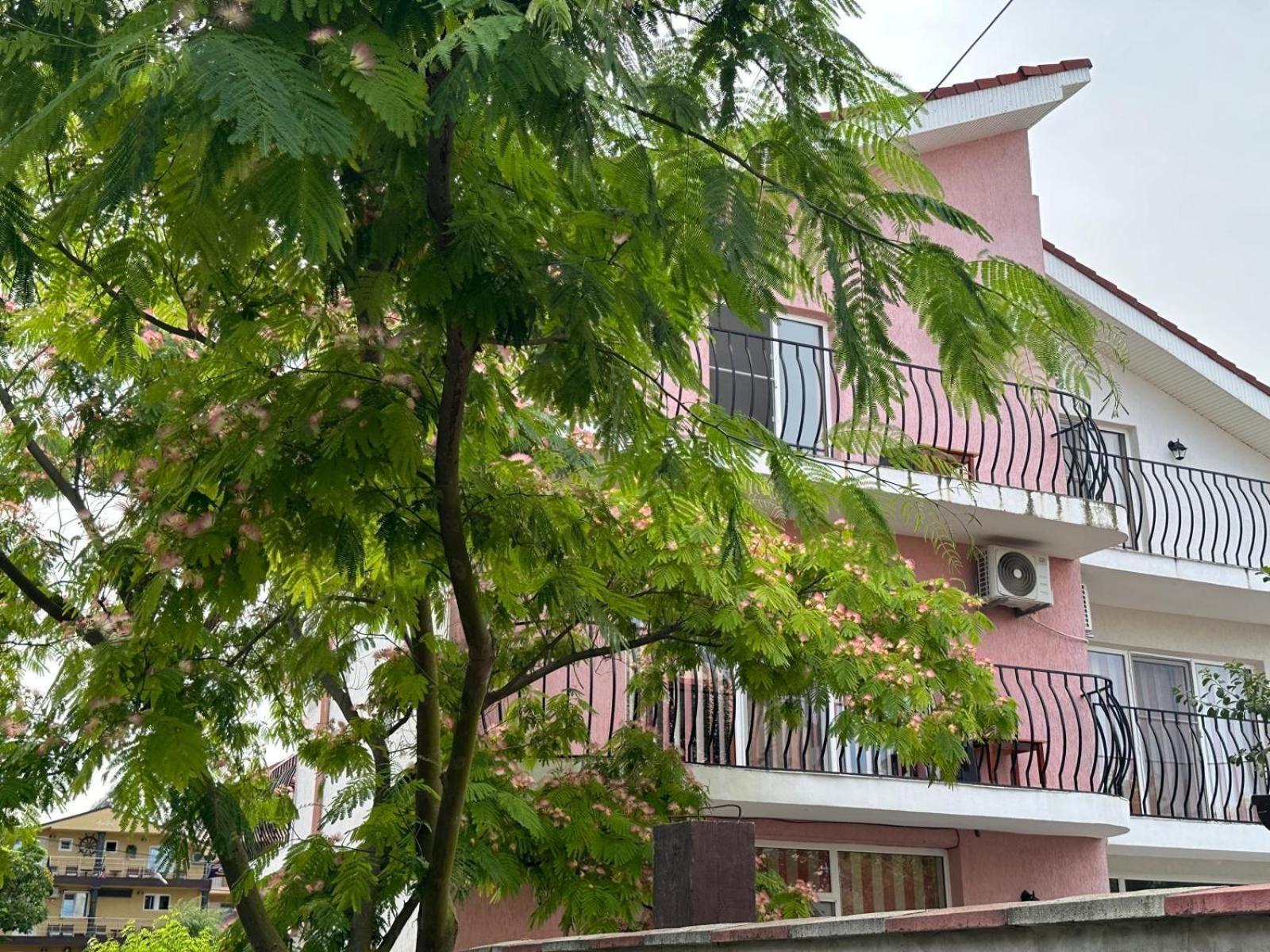Hotel Vila Lucy Costinesti Exterior foto